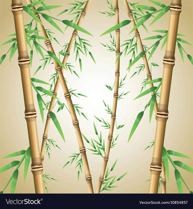 Картинки бамбук (70 фото) #59