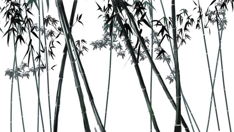 Картинки бамбук (70 фото) #20