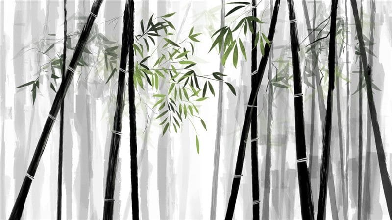 Картинки бамбук (70 фото) #24
