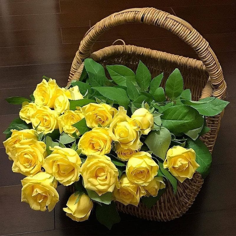 Картинки желтые розы (100 фото) #6