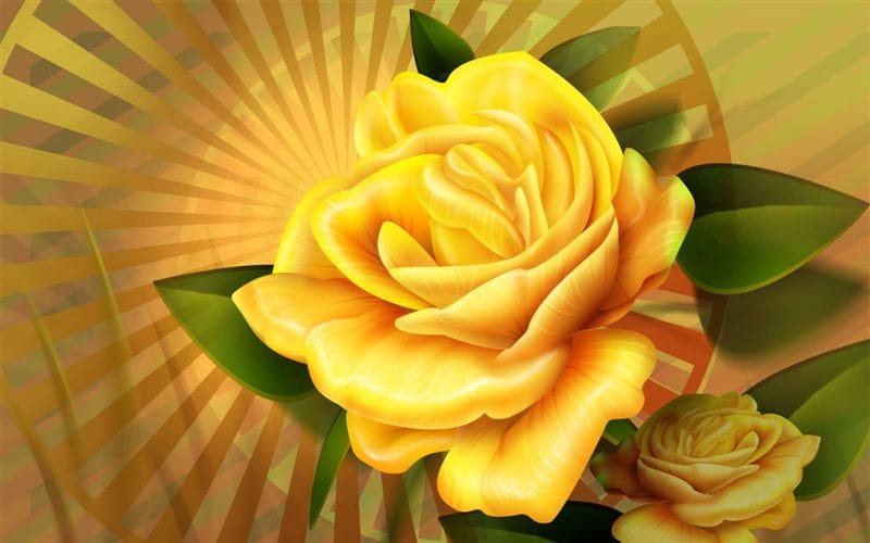 Картинки желтые розы (100 фото) #60