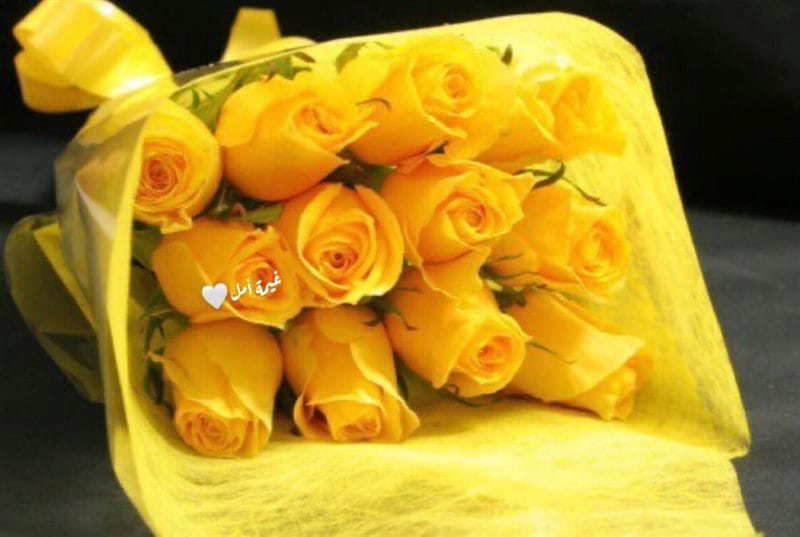 Картинки желтые розы (100 фото) #71