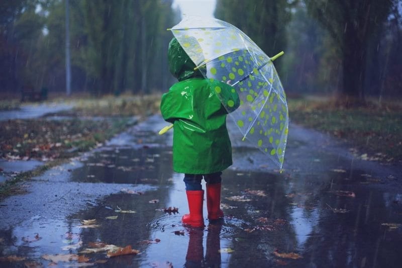 Картинки дождливая погода (100 фото) #99