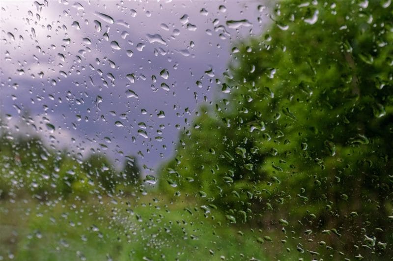 Картинки дождливая погода (100 фото) #77