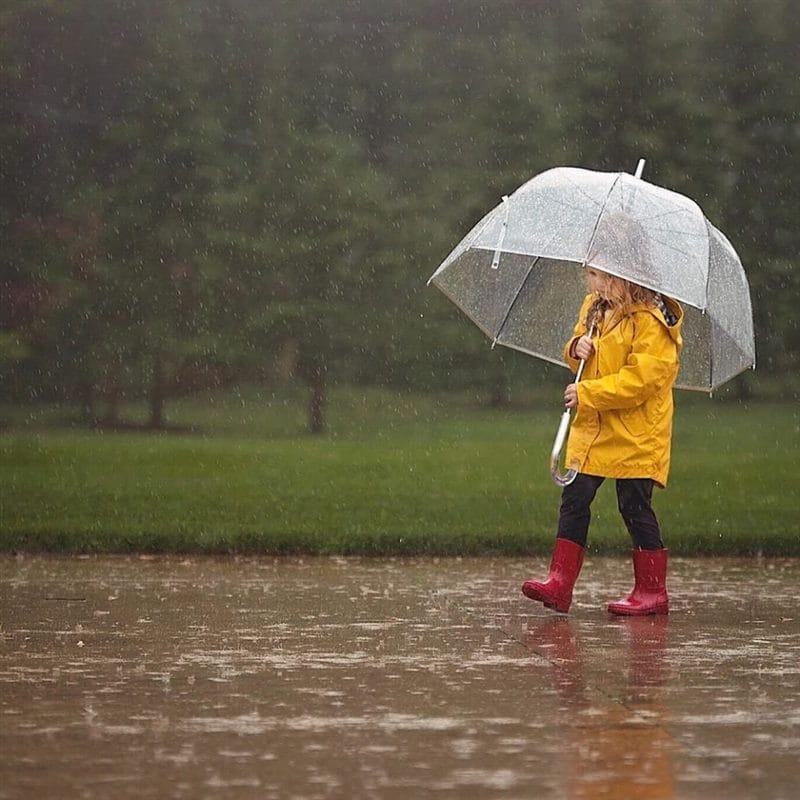 Картинки дождливая погода (100 фото) #70