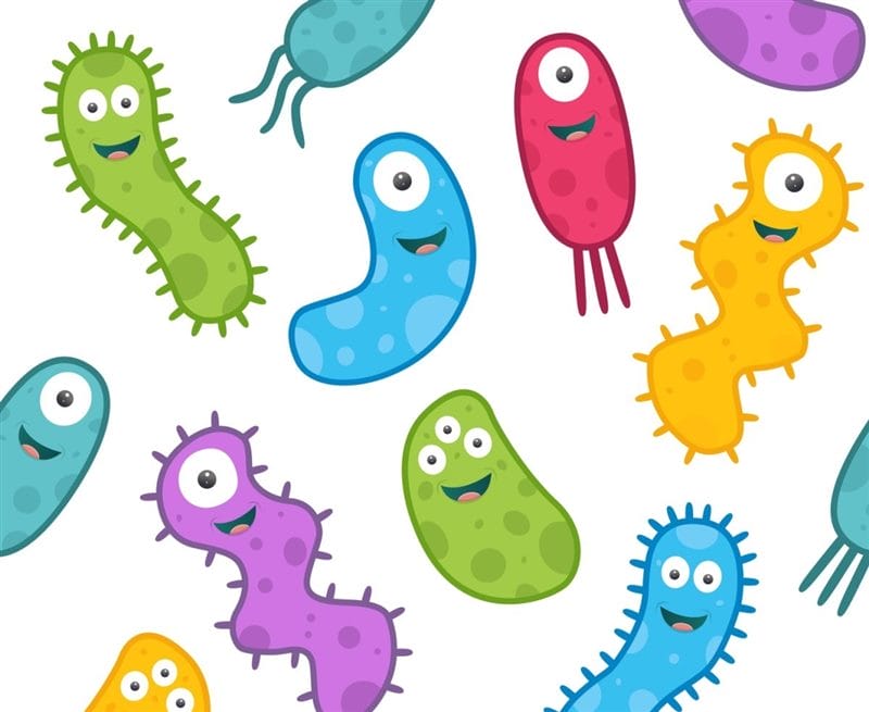 Картинки бактерии (50 фото) #1