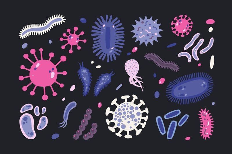 Картинки бактерии (50 фото) #18