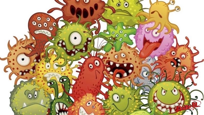 Картинки бактерии (50 фото) #10