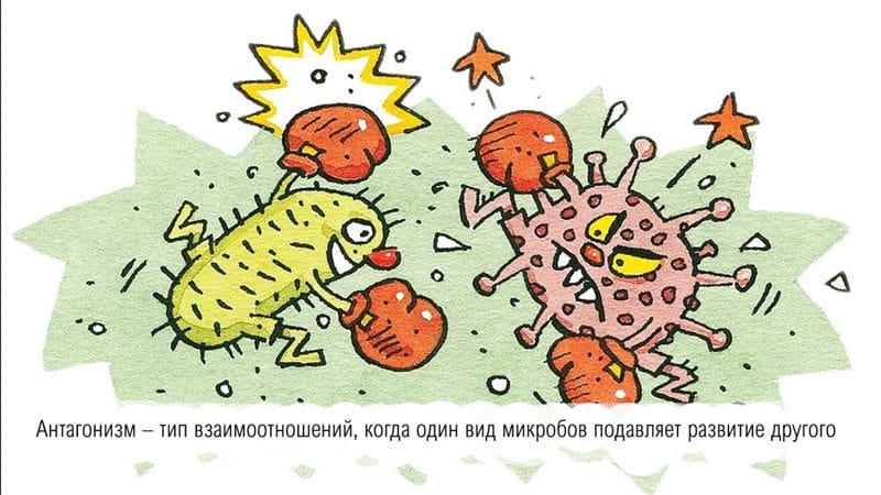 Картинки бактерии (50 фото) #38