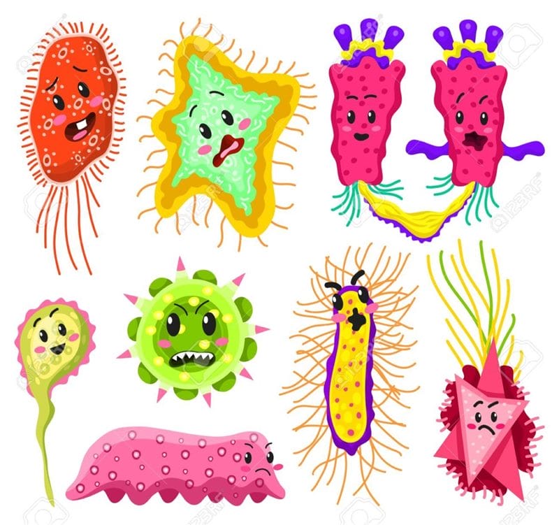 Картинки бактерии (50 фото) #7