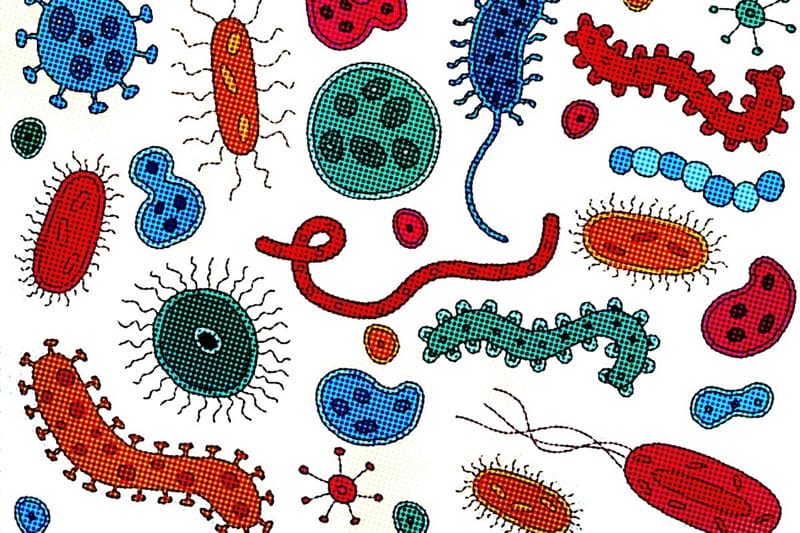 Картинки бактерии (50 фото) #4