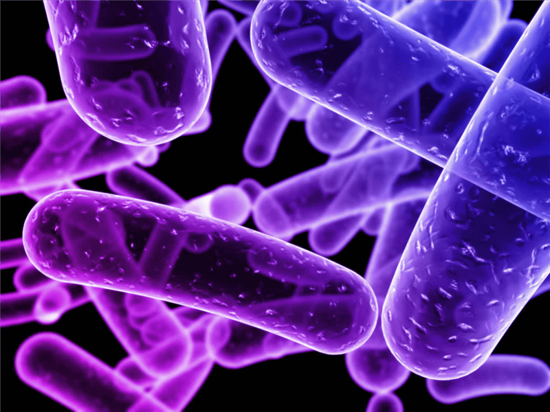 Картинки бактерии (50 фото) #50