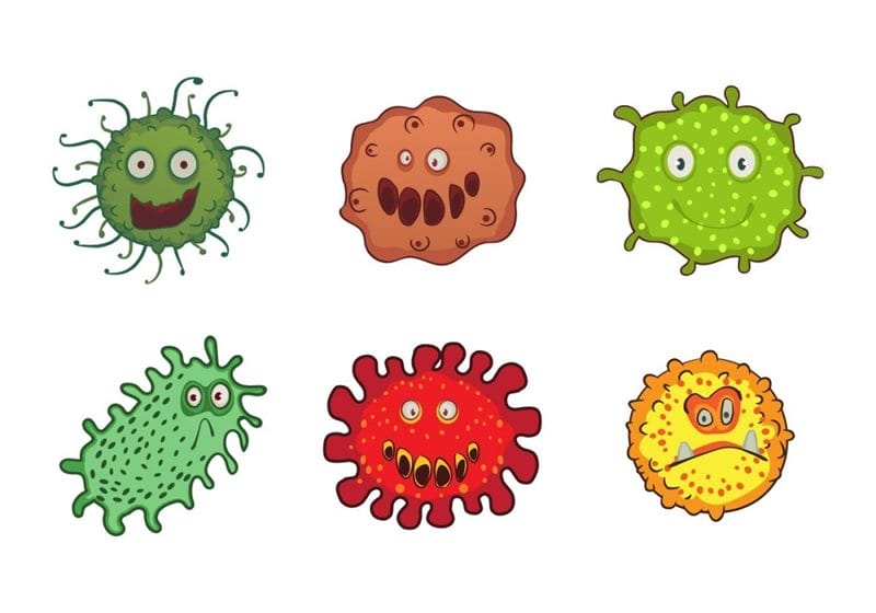 Картинки бактерии (50 фото) #23