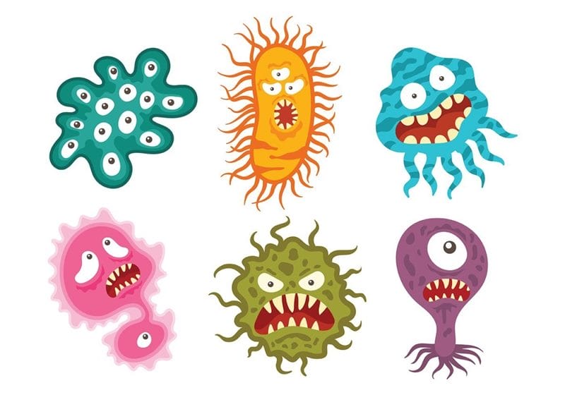 Картинки бактерии (50 фото) #19