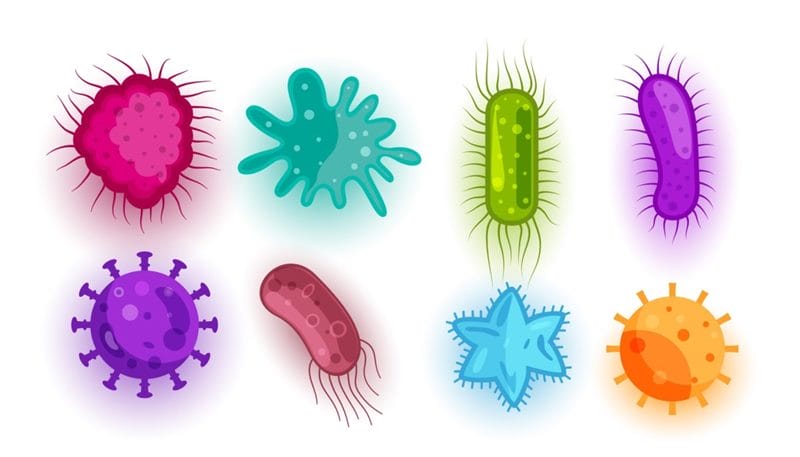 Картинки бактерии (50 фото) #31