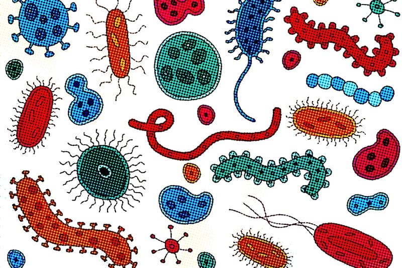 Картинки бактерии (50 фото) #41