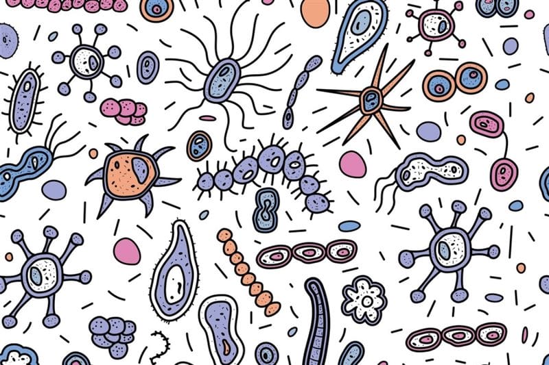 Картинки бактерии (50 фото) #6