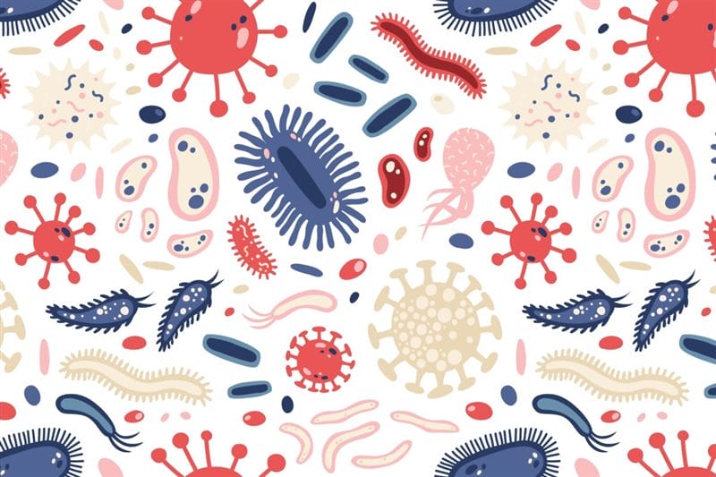 Картинки бактерии (50 фото) #11