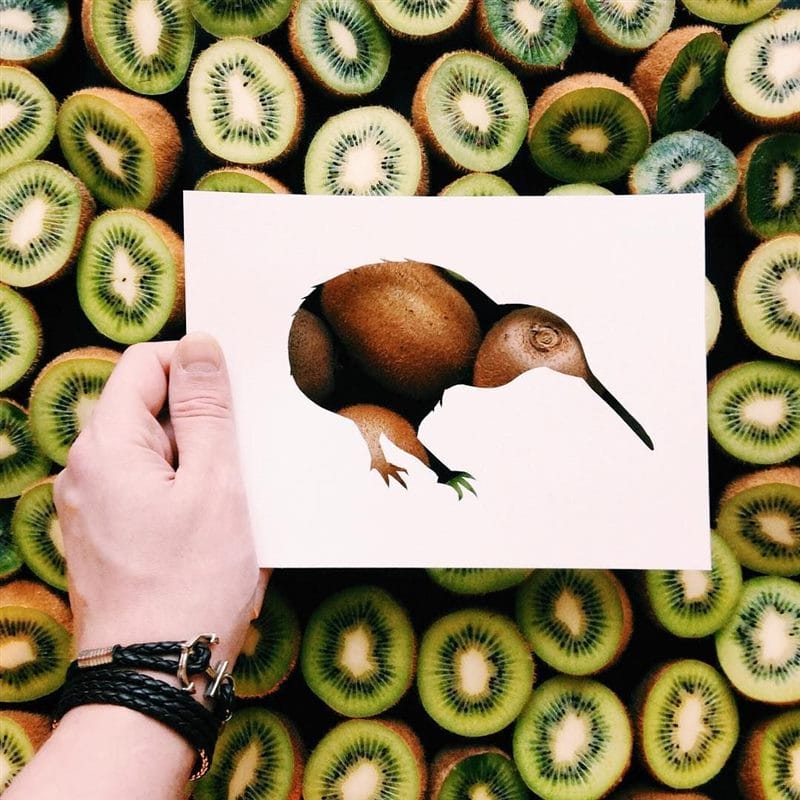Картинки птица киви (100 фото) #18