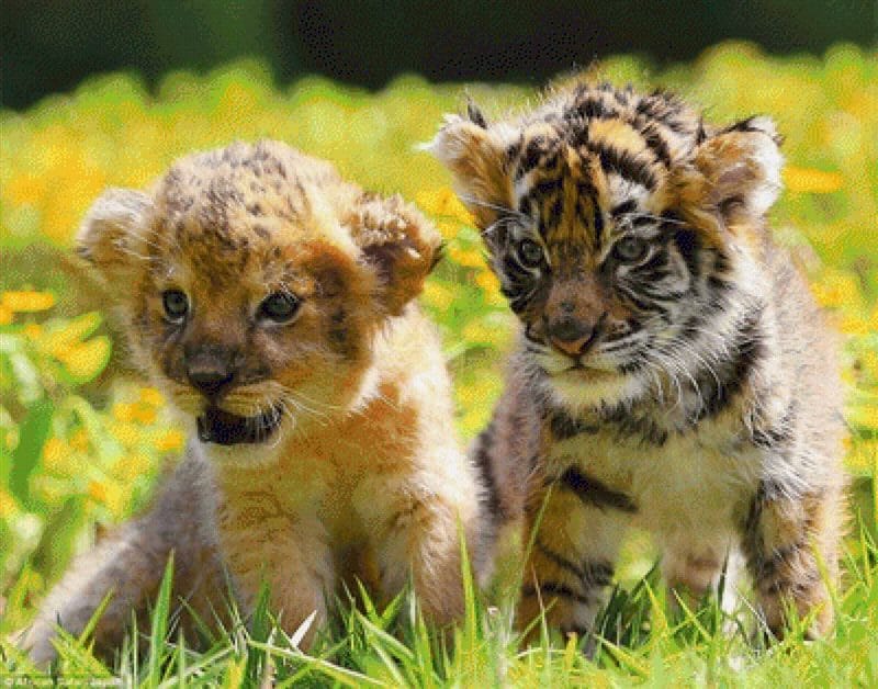 Картинки тигрята (100 фото) #91
