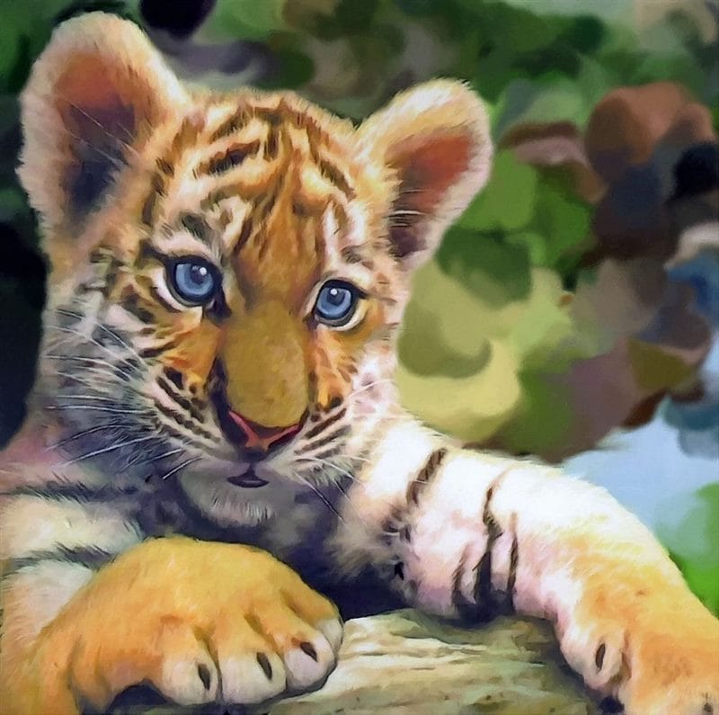 Картинки тигрята (100 фото) #66