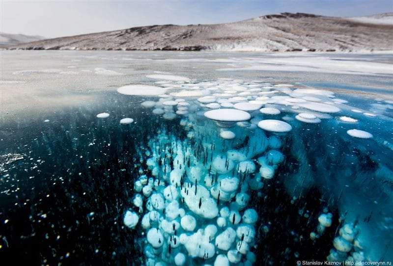 Картинки Арктика (70 фото) #9