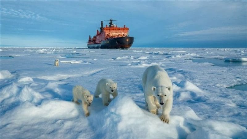 Картинки Арктика (70 фото) #61