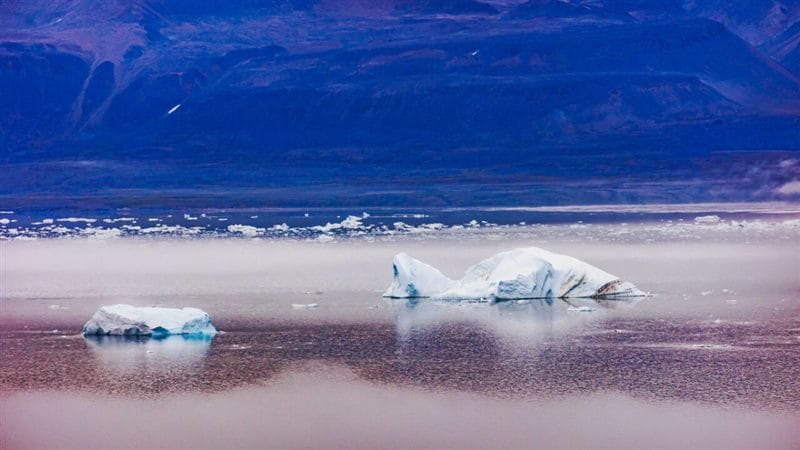 Картинки Арктика (70 фото) #25