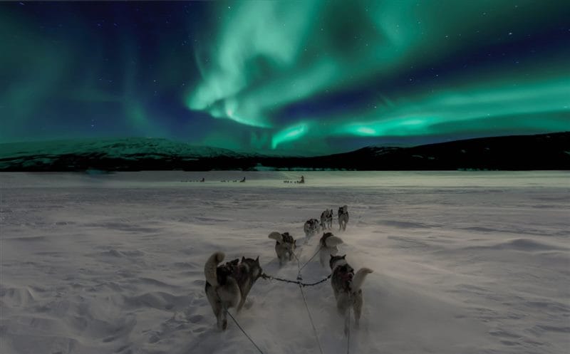 Картинки Арктика (70 фото) #55