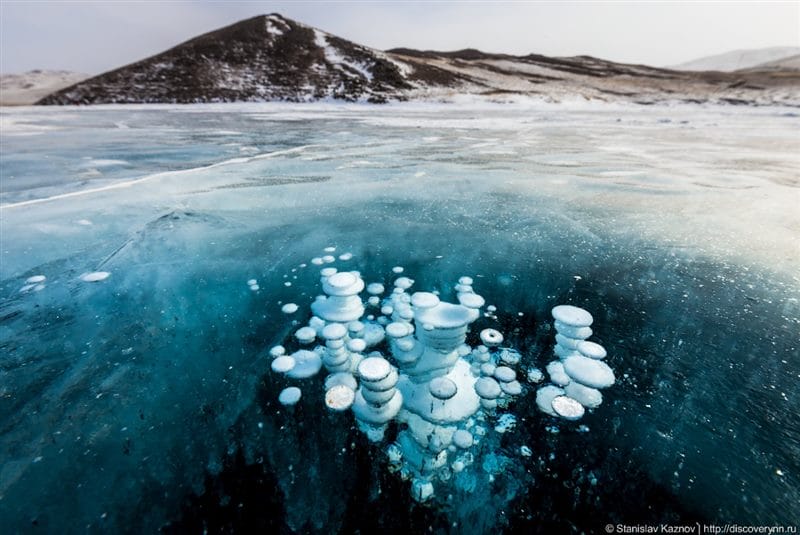 Картинки Арктика (70 фото) #13