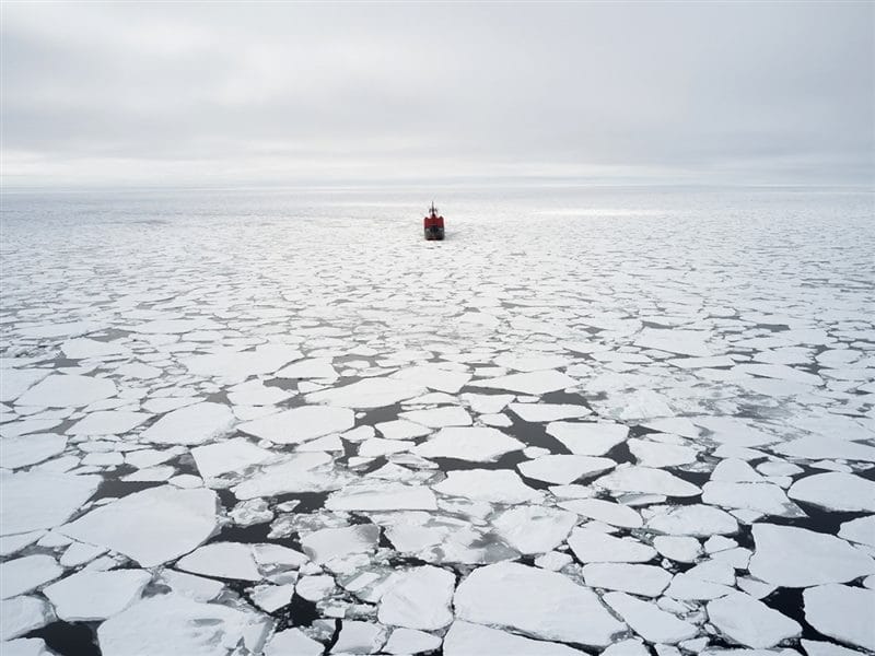Картинки Арктика (70 фото) #14