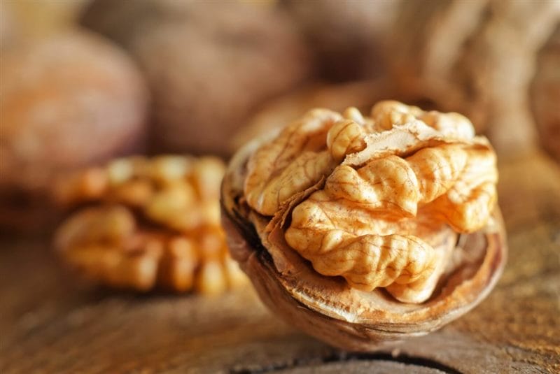 Картинки грецкие орехи (70 фото) #62