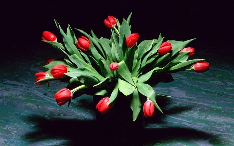 Картинки букеты тюльпанов (100 фото) #50
