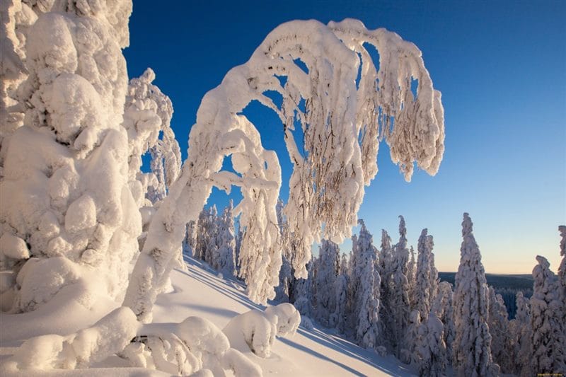Картинки сугробы снега (60 фото) #26