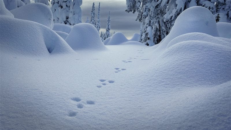 Картинки сугробы снега (60 фото) #60