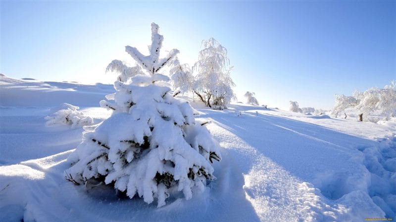 Картинки сугробы снега (60 фото) #47