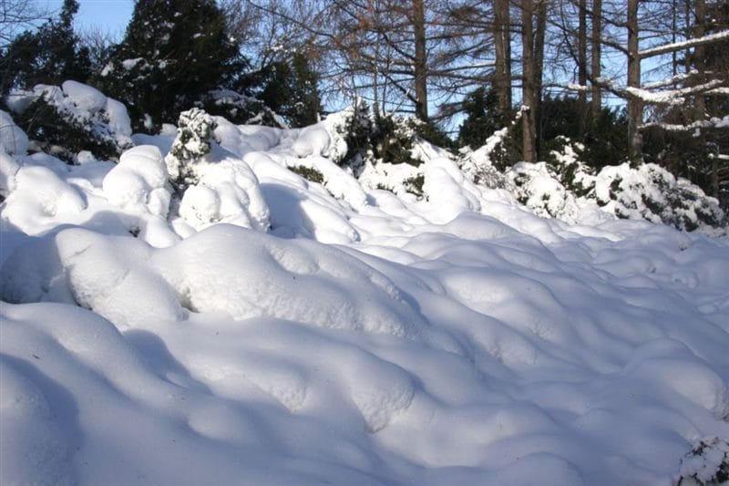 Картинки сугробы снега (60 фото) #32