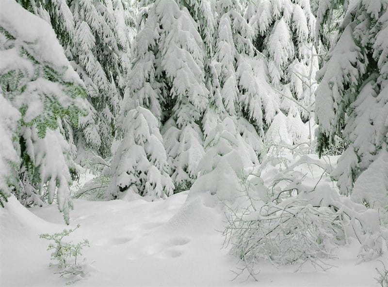 Картинки сугробы снега (60 фото) #9