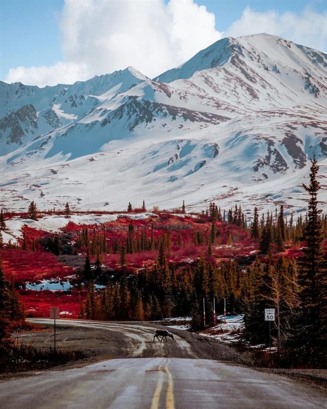Картинки Аляска (70 фото) #10