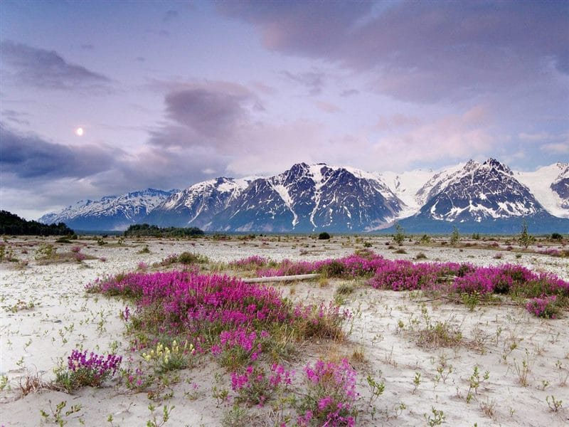 Картинки Аляска (70 фото) #14