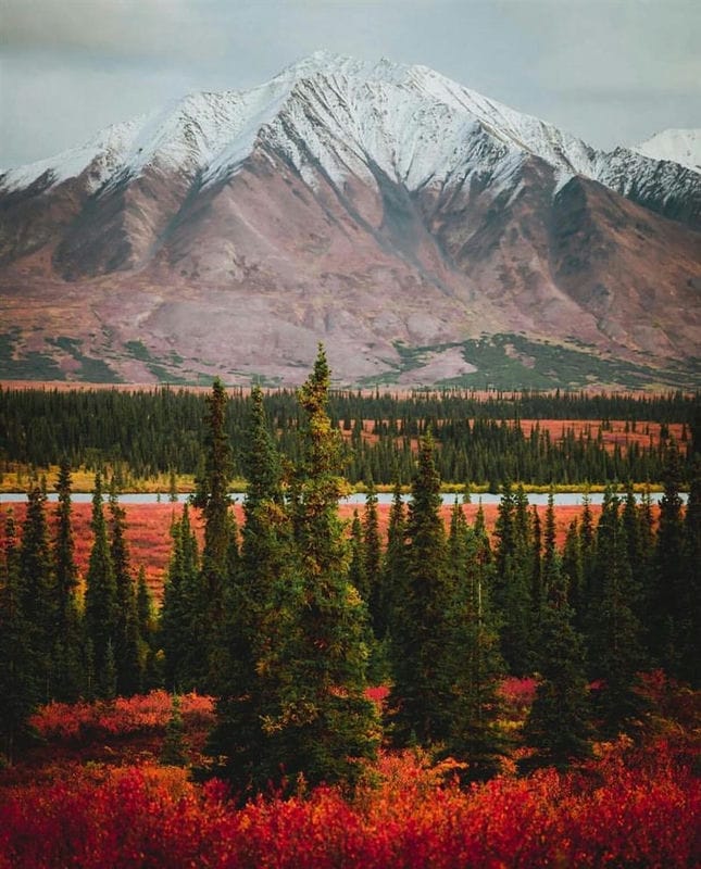 Картинки Аляска (70 фото) #23