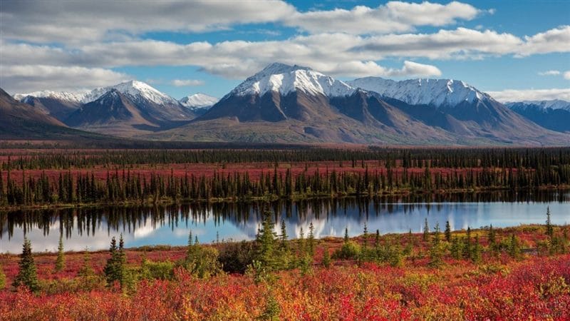 Картинки Аляска (70 фото) #35