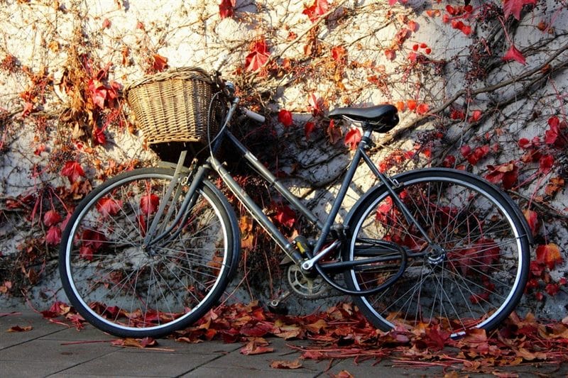 Картинки велосипеды (100 фото) #5