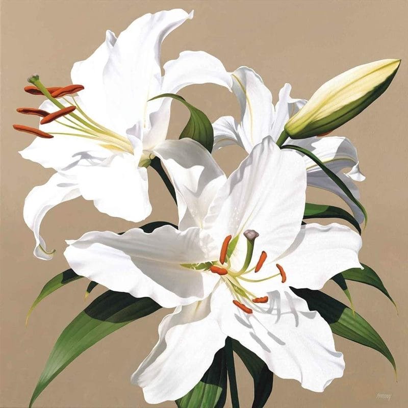 Картинки белые лилии (100 фото) #59