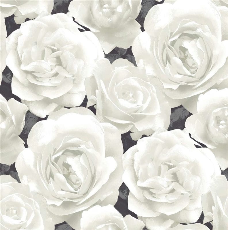 Картинки белые розы (100 фото) #19