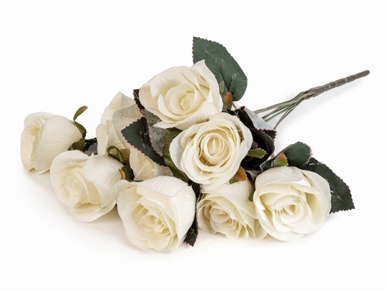 Картинки белые розы (100 фото) #91