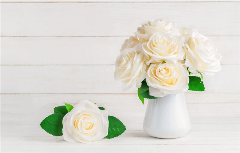 Картинки белые розы (100 фото) #100