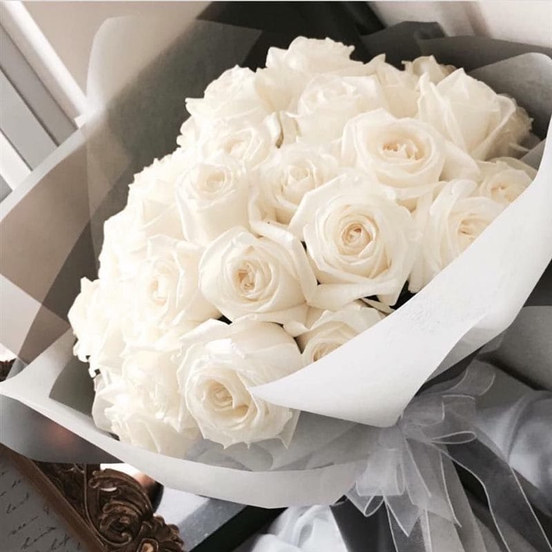 Картинки белые розы (100 фото) #93