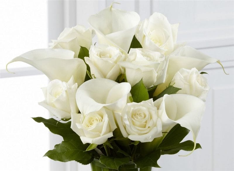 Картинки белые розы (100 фото) #89