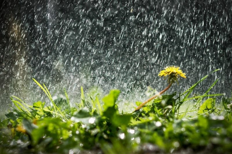 Дождливые картинки (100 фото) #11